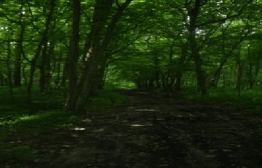 AUTOUR DE COBRIEUX-nord