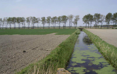 Circuit des Moeres-nord