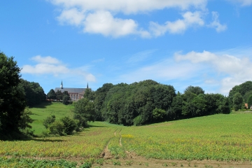 BERTHEN - MONT DES CATS ET MONT NOIR-nord