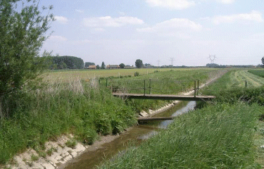 Autour de Steenwerck-nord