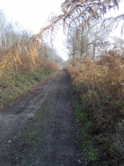 AIX LES ORCHIES - L ELNON FRONTALIER-nord