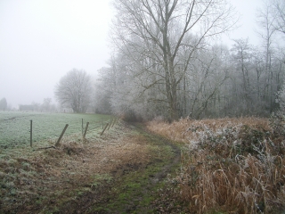 TEMPLEUVE - LA CANTERAINE-nord