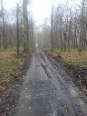 LE PAS DE ROLAND (MONS EN PEVELE)-nord