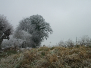 BERSEE - LA CROIX BLANCHE-nord