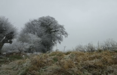 BERSEE - LA CROIX BLANCHE-nord
