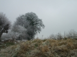 BERSEE - LA CROIX BLANCHE-nord