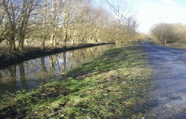 TEMPLEUVE EN PEVELE - LE FOURNEAU-nord