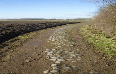 TEMPLEUVE EN PEVELE - LE FOURNEAU-nord