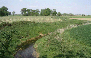 Des chenes au chateau-nord