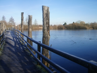 PERRONNE-EN-MELANTOIS - LES MARAIS-nord