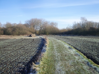 PERRONNE-EN-MELANTOIS - LES MARAIS-nord