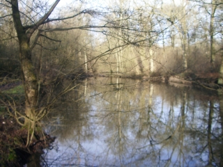 MONS-EN-PEVELE - SECMONT-nord