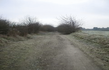 MONCHEAUX - LA LONGUE DIGUE-nord