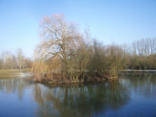 LOUVIL - PAR LA PATURE SAINT PIERRE-nord
