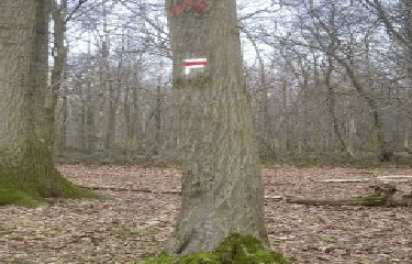 ENNEVELIN - AIGREMONT-nord