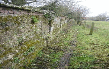 LES BAS DE SAINGHIN EN MELANTOIS-nord