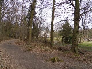 AUTOUR ET A TRAVERS LA FORET DOMANIALE DE PHALEMPIN-nord