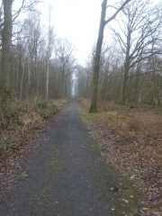 BERSEE - LA RICARDERIE-nord