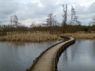 HOUPLIN-ANCOISNE  - PARC DE LA DEULE - VERSION COURTE-nord