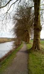 HOUPLIN-ANCOISNE - CANAL DE SECLIN-nord