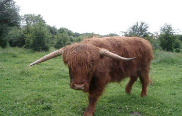 Circuit des Marlettes-nord