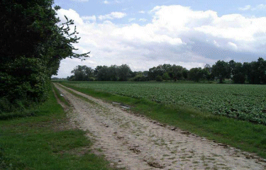 Circuit des Marlettes-nord