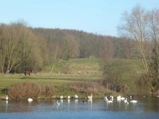 FOREST-SUR-MARQUE - PASSAGE PAR LE LAC DU HERON-nord