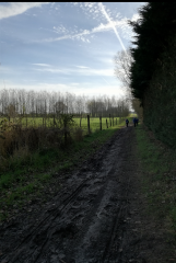 BALADE EN PEVELE ENTRE COBRIEUX ET BACHY-nord