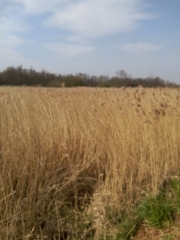 BOUCLE LOUVIL GRUSON-nord