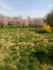 BOUCLE LOUVIL GRUSON-nord