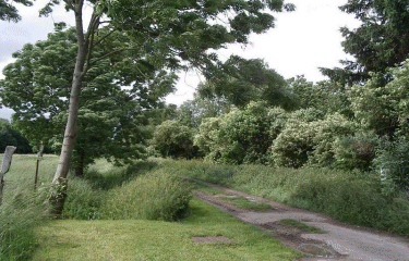 Circuit des Naviettes-nord