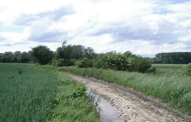 Circuit des Naviettes-nord