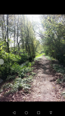 FROMELLES - LA BATAILLE DES AUSTRALIENS-nord