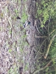 BOUCLE FRETINOISE-nord