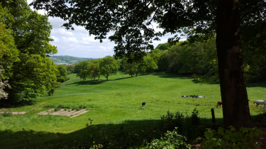 BOESCHEPE - GODEWAERSVELDE - MONT DES CATS-nord