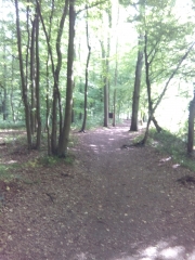 CAMPHIN-EN-CAREMBAULT - TEMPLEUVE EN PEVELE-nord