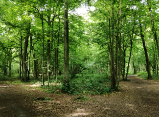 PHALEMPIN - CIRCUIT DE LA FAISANDERIE-nord