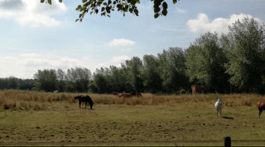 NOYELLES-LES-SECLIN - EN PASSANT PAR LA CANTERAINE-nord