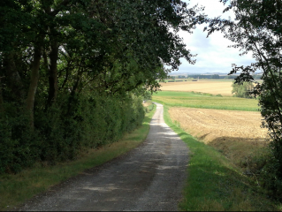 NIEURLET - SUR LES TRACES DE ST MARTIN VERSION COURTE-nord