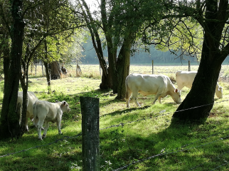 HOUPLIN-ANCOISNE - DE MOSAIC AU ANSEREUILLES-nord