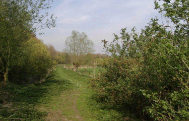 Circuit du moulin de Vertain - Templeuve-nord