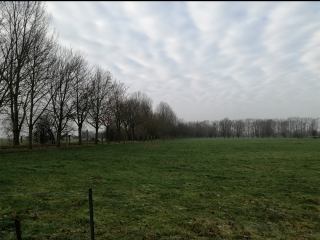 AVELIN - EN PASSANT PAR LE MARIS DU LEU-nord