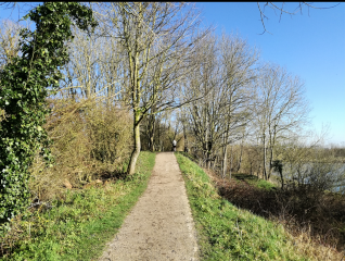 HOUPLIN-ANCOISNE - CIRCUIT DE PETIT CLAIRE MARAIS-nord