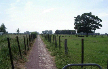 Sainghin-en-Weppes-nord