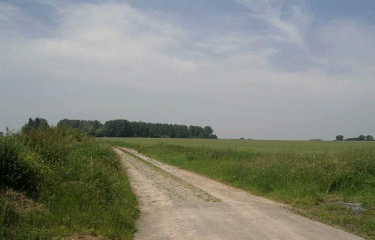 Sainghin-en-Weppes-nord