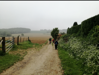 BOESCHEPE - AUTOUR DU MONT DE BOESCHEPE-nord