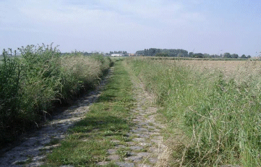 Autour de la Libaude (Marquillies)-nord