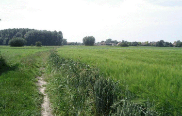 Autour de la Libaude (Marquillies)-nord