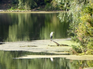 DE LA BASE DE LOISIRS DES 6 BONNIERS AU LAC DU HERON-nord