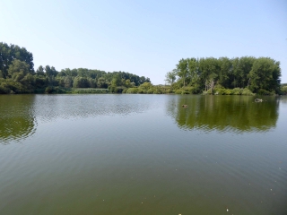 BOUVINES - MARAIS DE LA MARQUE ET ETANG DE FRETIN-nord